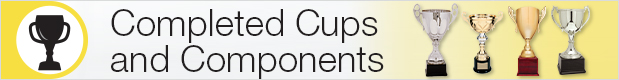 Completed Cups and Components